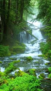 Adventure, indie, rpg platform : Waterfall Wallpaper Ponsel