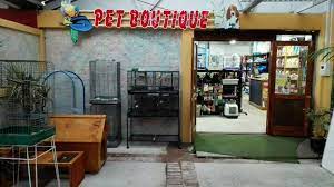 Check spelling or type a new query. Pet Boutique Sherwood Garden Centre Home Facebook