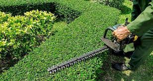 How Much Does A Gardener Cost