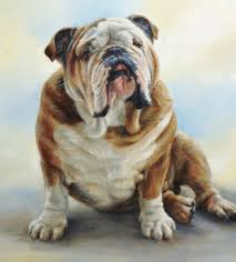 The perfect gift for everyone! Your Questions Answered Painting Animals With Expression How To Artists Illustrators Original Art For Sale Direct From The Artist