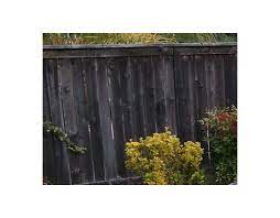 The most important reason for staining garden wood, such as a fence, garden house or garden furniture, is to protect the wood against all kind of weather influences. Staining Fence Without Power Washing