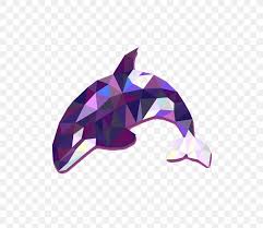 This post will show you how to draw simple picture of baby killer whales like below. Baby Orca Whale Conservation Killer Whale Blue Whale Png 800x714px Baby Orca Animal Blue Whale Drawing