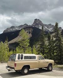 Image result for Mink Brown 1984 Dodge