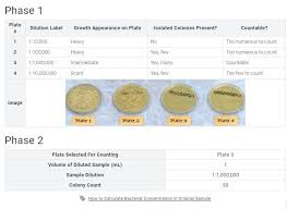 How do you calculate colony forming units? Isolation Methods Quantification By Colony Counting Chegg Com