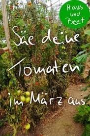 Aussaatplane Im Marz Jetzt Ist Alles Moglich Haus Und Beet Gemuse Anbauen Pflanzen Garten Pflanzen