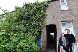 Fourteen teams contested the tournament: Overgrown Monster House Full Of Dog Faeces And Rubbish Terrifies Children Daily Star