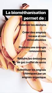 Epingle Sur Maison Ecolo Eco Friendly Life