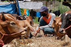 Maybe you would like to learn more about one of these? Maknai Idul Adha Kcn Bagikan Daging Kurban Untuk Warga Rusun Marunda Cilincing