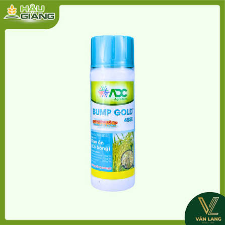 Bump gold 40SE