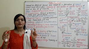 Plant tissue culture is a straightforward technique and many developing countries have already mastered it. Applications Of Plant Tissue Culture Hindi By Solution Pharmacy Youtube