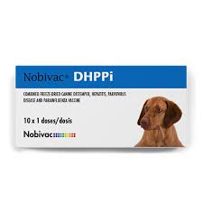 Das lyophilisat des fläschchens nobivac® parvo (=1 dosis) wird mit dem inhalt eines fläschchens nobivac® solvens (= 1 ml) gelöst und subkutan injiziert. Dhppi