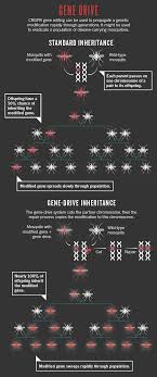 Crispr The Disruptor Molecular Biology Science Infographics Bio Sciences