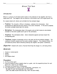 We did not find results for: Mitosis Flip Book