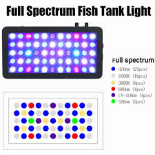10 Best Reef Led Lights Reviews Side By Side Comparison