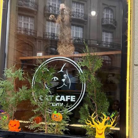 Cat Cafe Lviv 🐱 (@catcafelviv) · Lviv