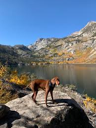 Lake Sabrina Fish Report - Bishop, Ca (Inyo County)