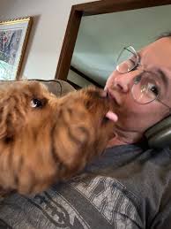 Doodles' daily routines and internal clocks