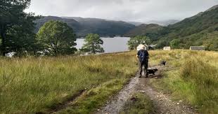 A West Highland Way Signpost In Scotland Stock Photo - Image Of Hiking,  Forest: 117226418