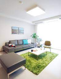 Grey Couch With A Green Carpet Green Rug Living Room Minimalist Living Room Warm Home Decor