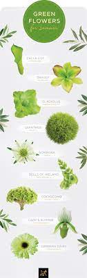 We deliver flowers to dunstable, houghton regis and the surrounding villages, including eaton bray, edlesborough, totternhoe, kensworth, studham. 20 Types Of Green Flowers Ftd Com