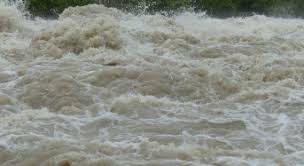 I look up at the street and the water was coming down like niagara falls, said pamela williams, neighbor. Switzerland Floodlist