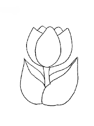 coloriage image tulipe dessin gratuit a imprimer pages de imprimables gratuites pour fleurs adultes