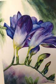 Freesia Watercolour Elizabeth Little Flower Painting Botanical Painting Freesia Flowers