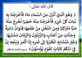 آيات وأقوال عن أهمية الماء قيمة الماء دور الماء في الحياة موقع مدرستي