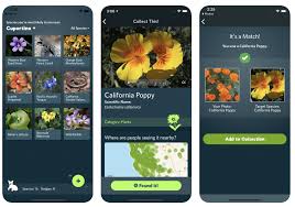 Well, google lens' plant identification can. A Shazam For Nature A New Free App Helps You Identify Plants Animals Other Denizens Of The Natural World Open Culture