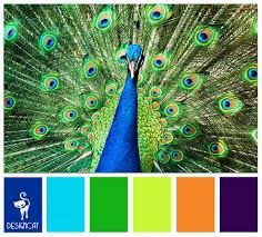 A beautiful, large, peacock collage art in colors of blue, green, and orange on a white grey background. Pin By Ink Paper Designs On Colour Green Colour Palette Orange Color Schemes Blue Colour Palette