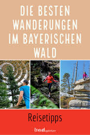 Bayerischer Wald Top Sehenswurdigkeiten Aktivitaten Mit Karte Blog In 2020 Ausflug Bayerischer Wald Sehenswurdigkeiten Wandern Bayerischer Wald