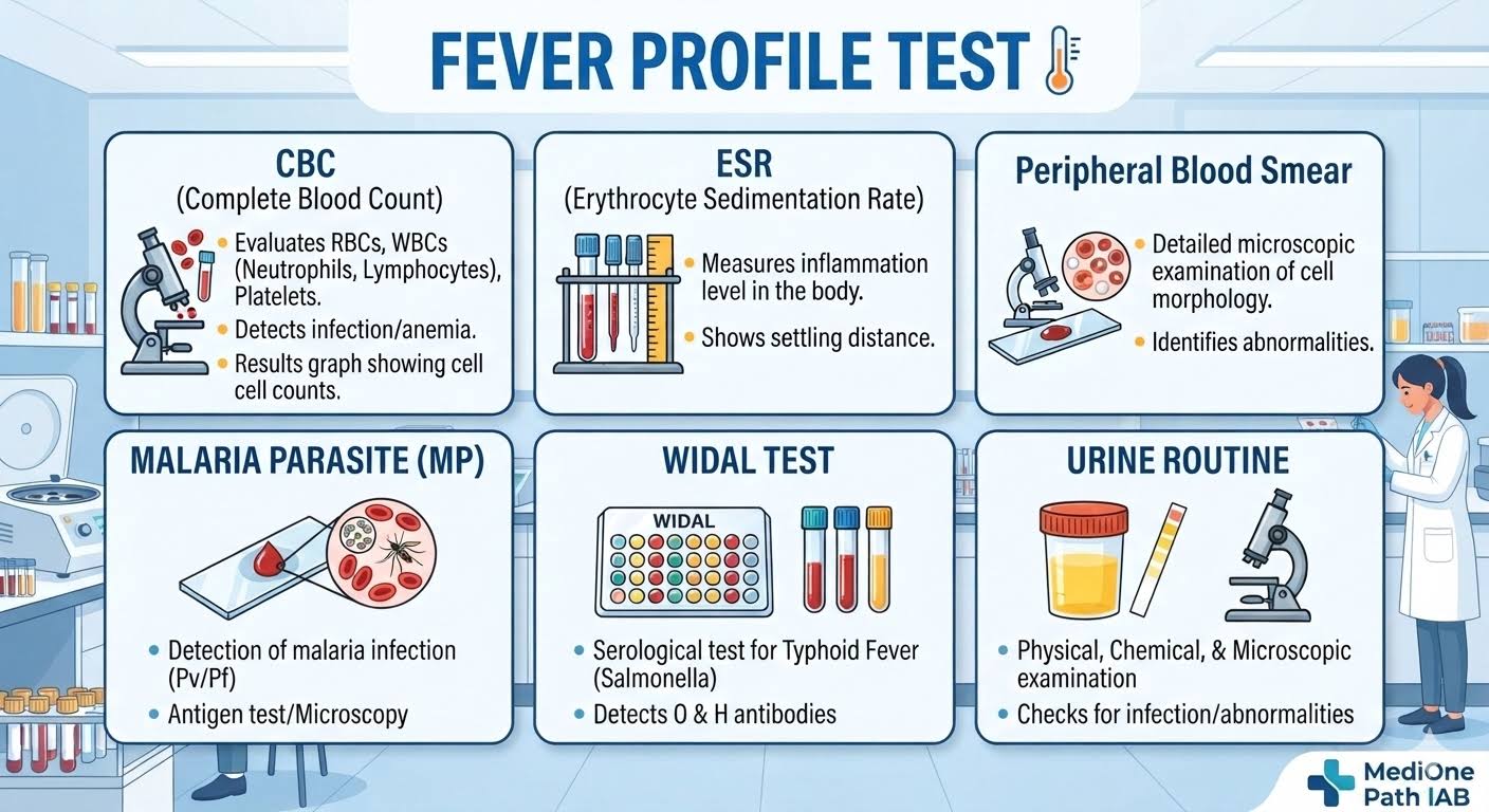 Fever Profile