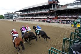 PINK SHEET CHAMPION: Liam Durbin knocks off Champagne for top Pink Sheet  handicapper in 2022