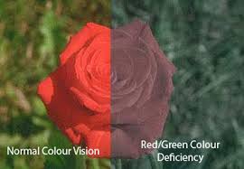 Colour Blind Glasses Australia Aphrodite Livanes Optometrist Brisbane Eye Care Plus Color Blind Glasses Color Blind Optometrist
