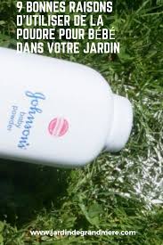 9 Bonnes Raisons D Utiliser De La Poudre Pour Bebe Dans Votre Jardin Astuce Jardinage Poudre Pour Bebe Jardinage En Pots