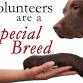New Volunteer Orientation event image