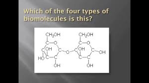 how to identify biomolecules structurally