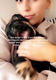 Vet Shots Gone Wrong