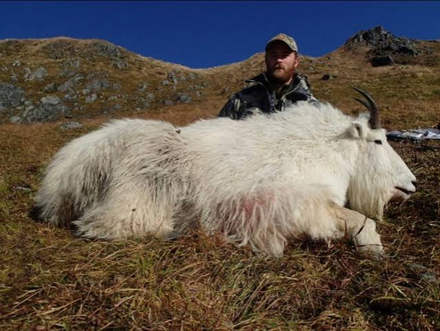 Shoshone Goat Hunting: Top Locations to Explore - Shoshone Adventures