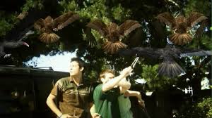 A romantic couple run from the law after accidentally killing one of their friends. Birdemic Doc Vice Follows Director Of Worst Movie Ever Made Indiewire
