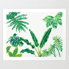Pictures of tropical house plants. Tropical House Plants Art Print By Withgracee Society6