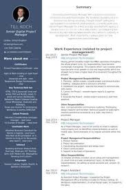 Resume Template Examples 3 3 Important Facts That You Should Know About Resume Template Exa Project Manager Resume Infographic Resume Resume Template Examples
