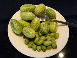 Image result for Cucumis anguria