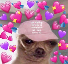 妖精の夢 Cute Love Memes Love Memes Cute Memes