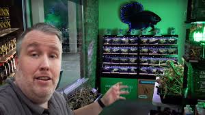 Cory hasn't worked in the Aquarium Co-Op fish store for 5 years, so it's  always fun to visit the shop after hours to see what the employees have  done and how many Aquarium Co-Op products we're ...
