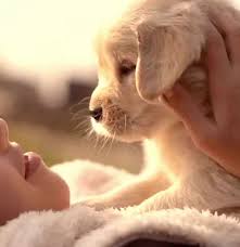 Best that she does not go to a home. Home Fmas