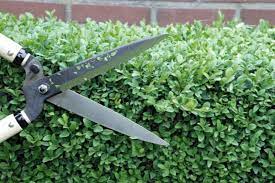 10 Easy Pieces Garden Shears Gardenista