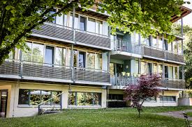 Ferienwohnungen in gaienhofen am bodensee. Das Hotel Restaurant Seehornle Am Bodensee Auf Einen Blick