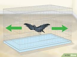 How To Set Up A Bird Cage 14 Steps With Pictures Wikihow