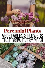 See more ideas about flowers, plants, planting flowers. 5 Perennial Vegetables And Flowers That Will Grow Year After Year